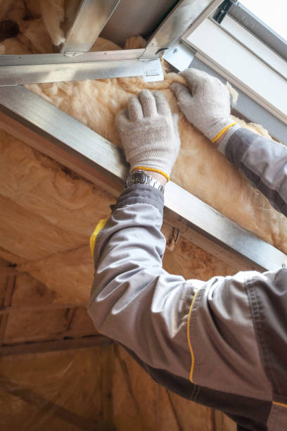 Best Local Insulation Services  in Whitewater, CA