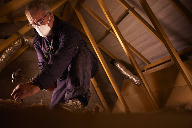 Best Attic Insulation Installation  in Whitewater, CA