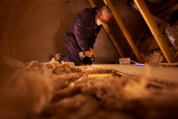 Best Insulation Replacement Services  in Whitewater, CA